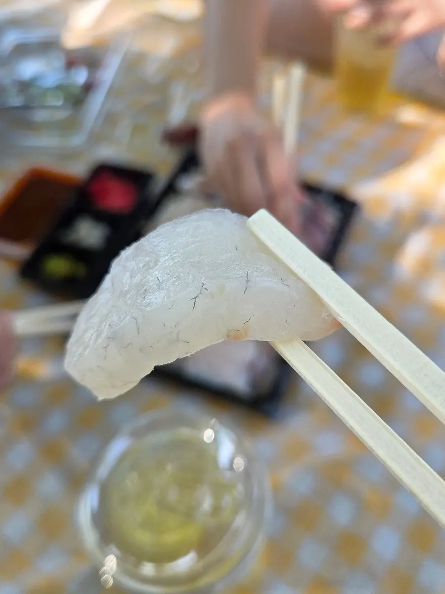 대광어와 대참돔 회 한 점