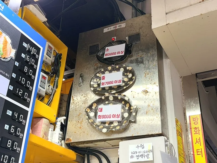 小中大外帶生魚片份量比較說明