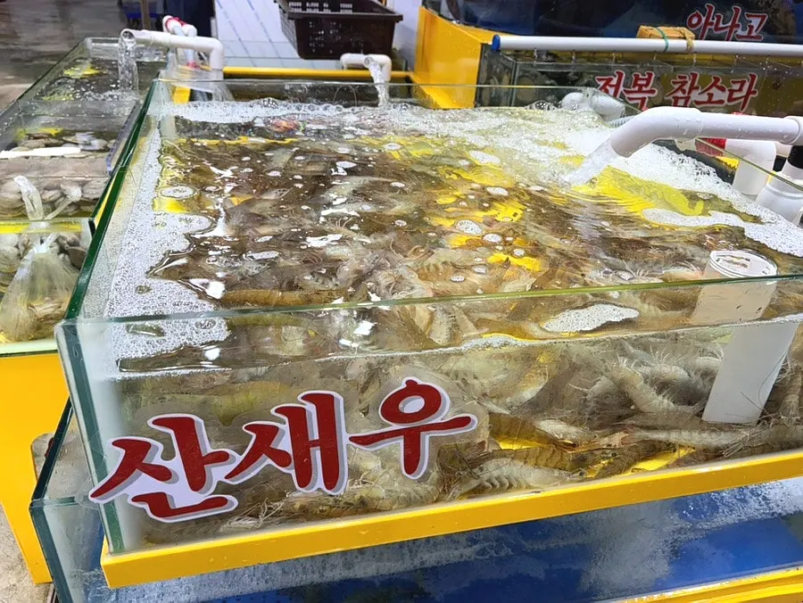 陳列生蝦與貝類等海鮮