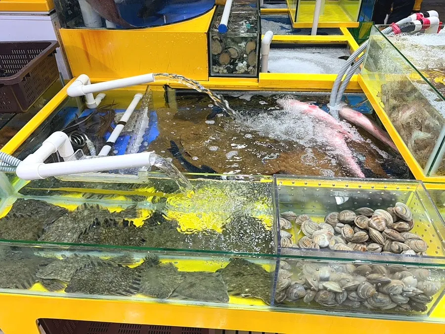 擺放海鞘、海參、鮑魚的水產區