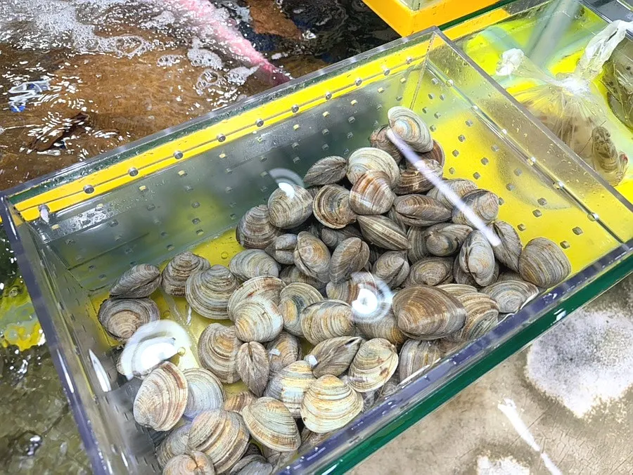 陳列活章魚與章魚的店內展示台