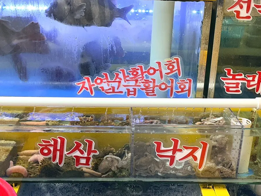 水質乾淨管理良好的活魚水族箱