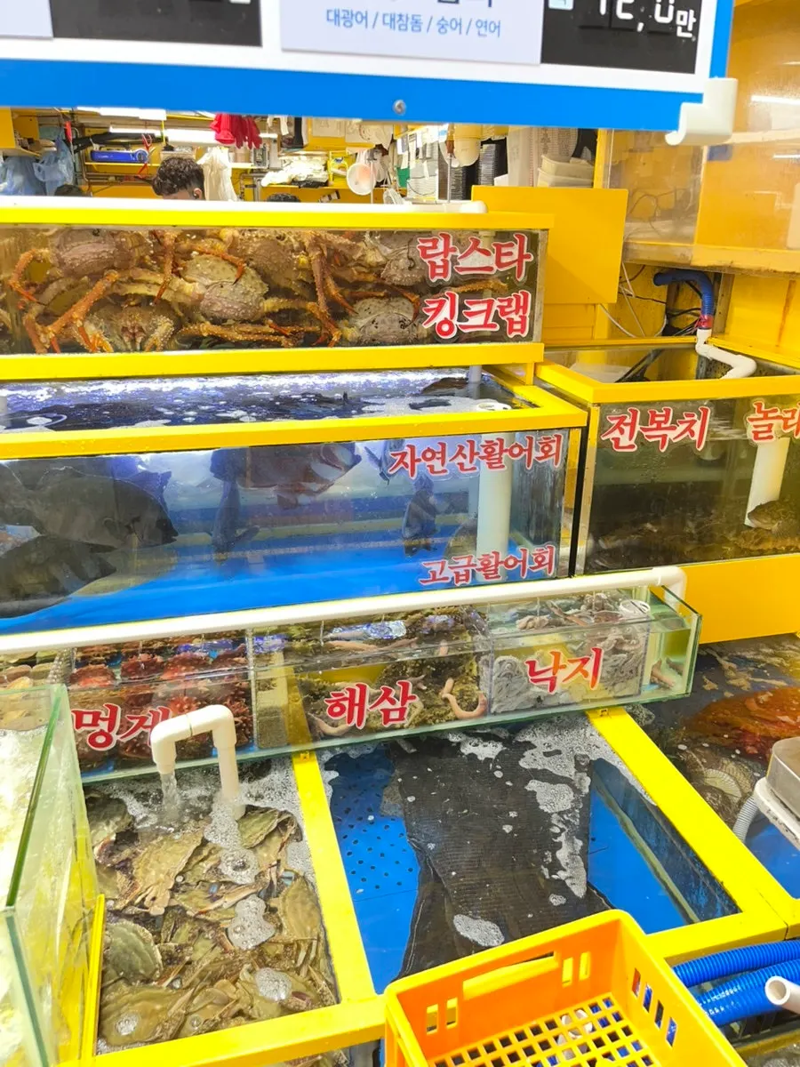 영재수산 모둠회 가격별 시세표