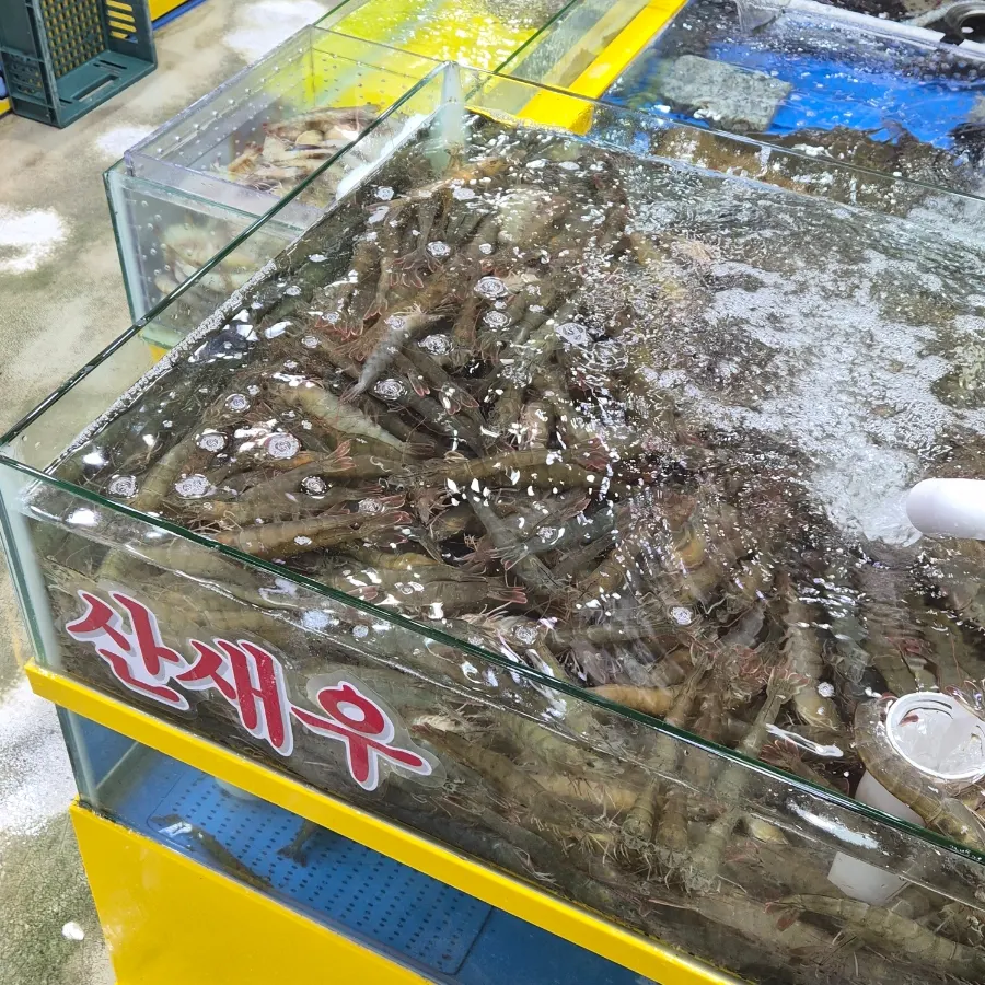 Live fish in the tanks at Yeongjae Susan