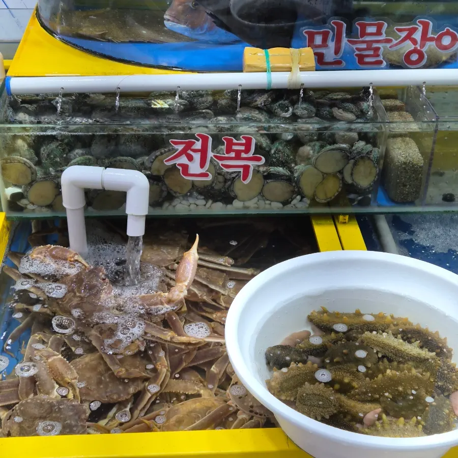 Various seafood displayed at the shop
