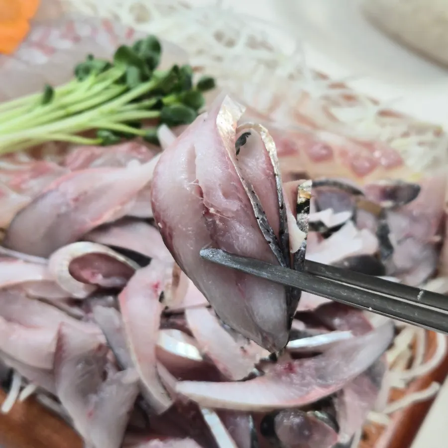 A silvery slice of gizzard shad sashimi