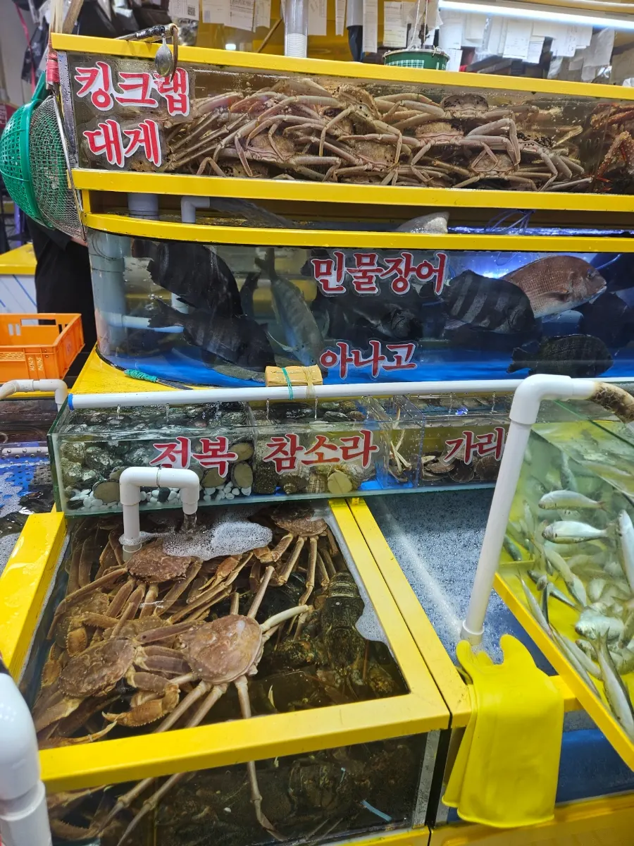 Cleanly maintained tanks at Yeongjae Susan