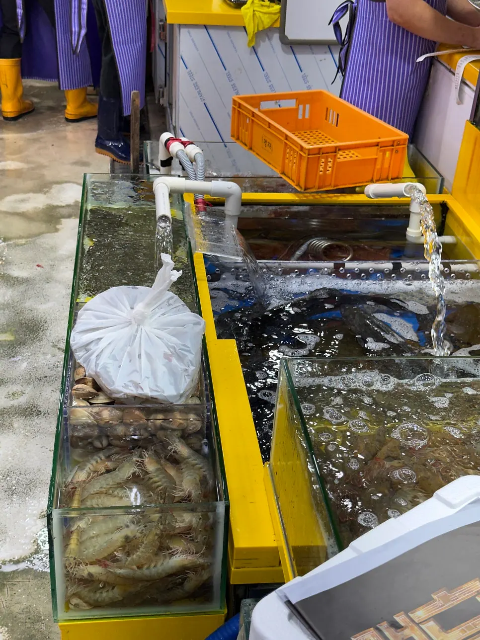 영재수산 주문 대기 중인 매장 내부