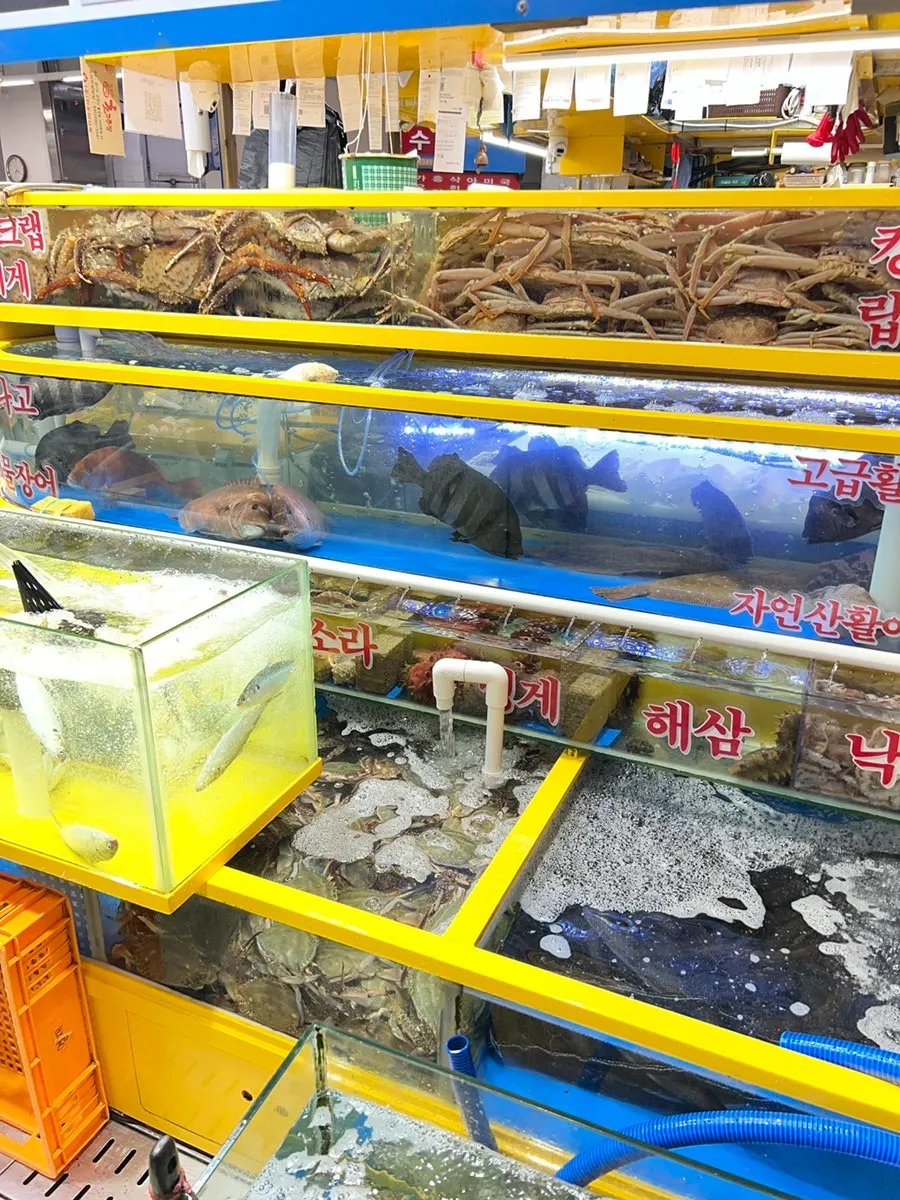 수산시장 건물 안 통로와 점포 줄