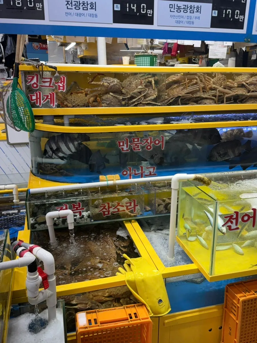 영재수산 매장 앞 수산물 진열대