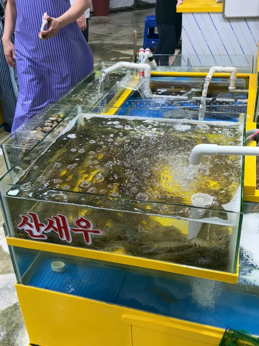 제철 전어와 생새우가 놓인 판매대