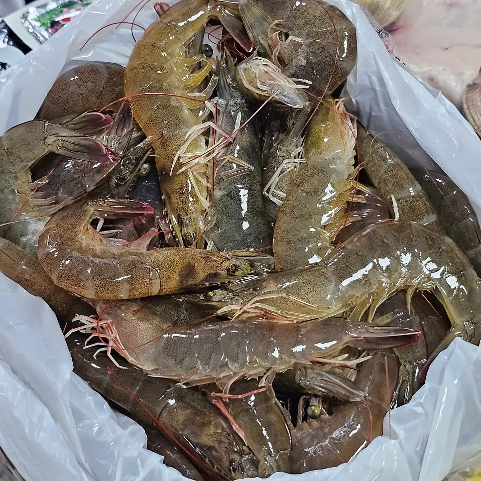 Live, wriggling seasonal shrimp