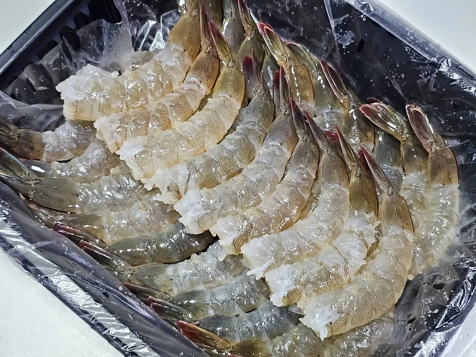 Seaweed, sushi rice, live shrimp, and aged kimchi combo