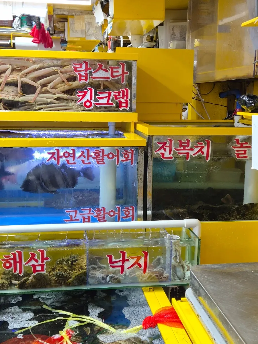Vertical photo of the seafood display case at Yeongjae Susan