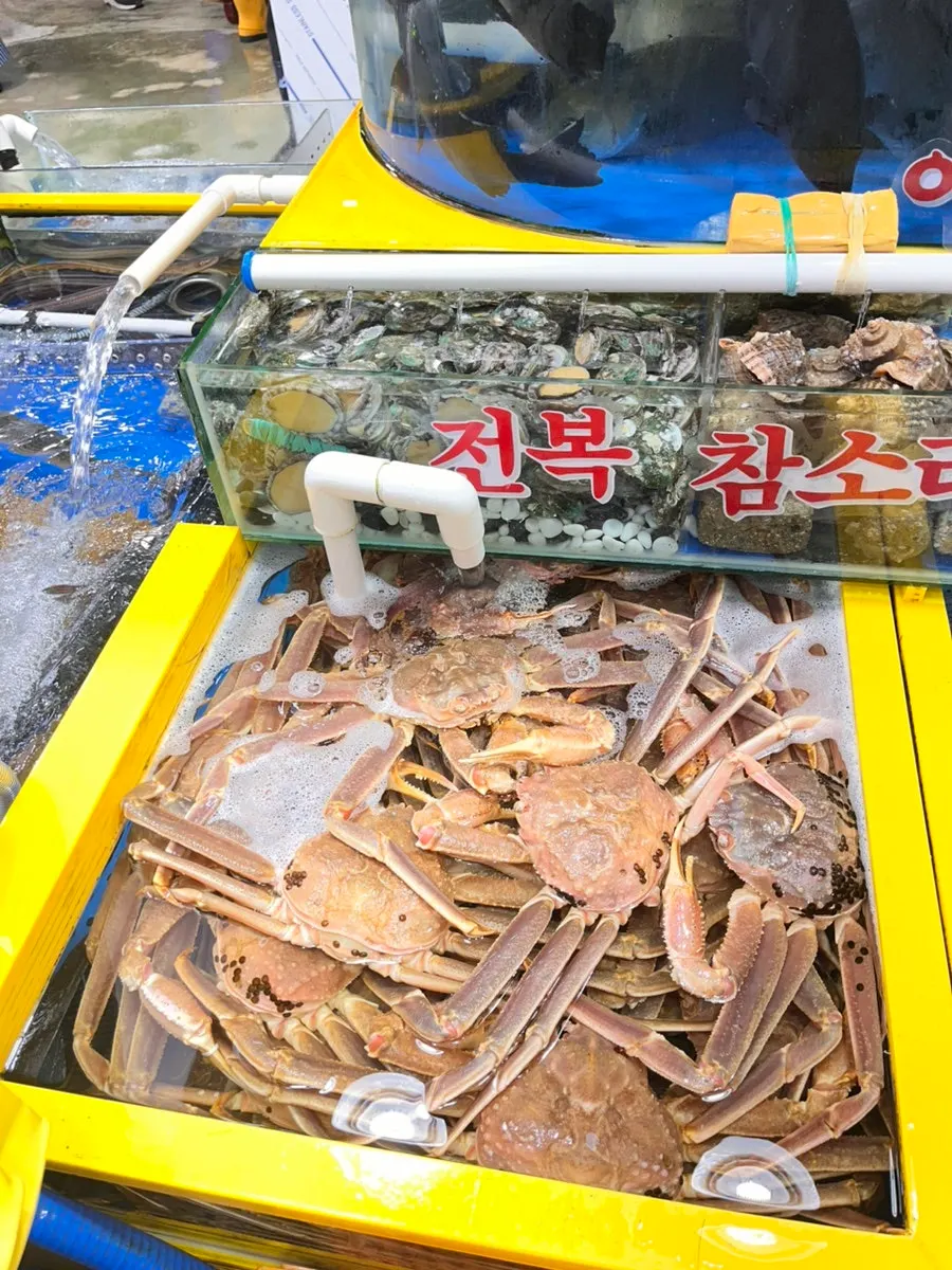 영재수산 입구의 해산물과 횟감