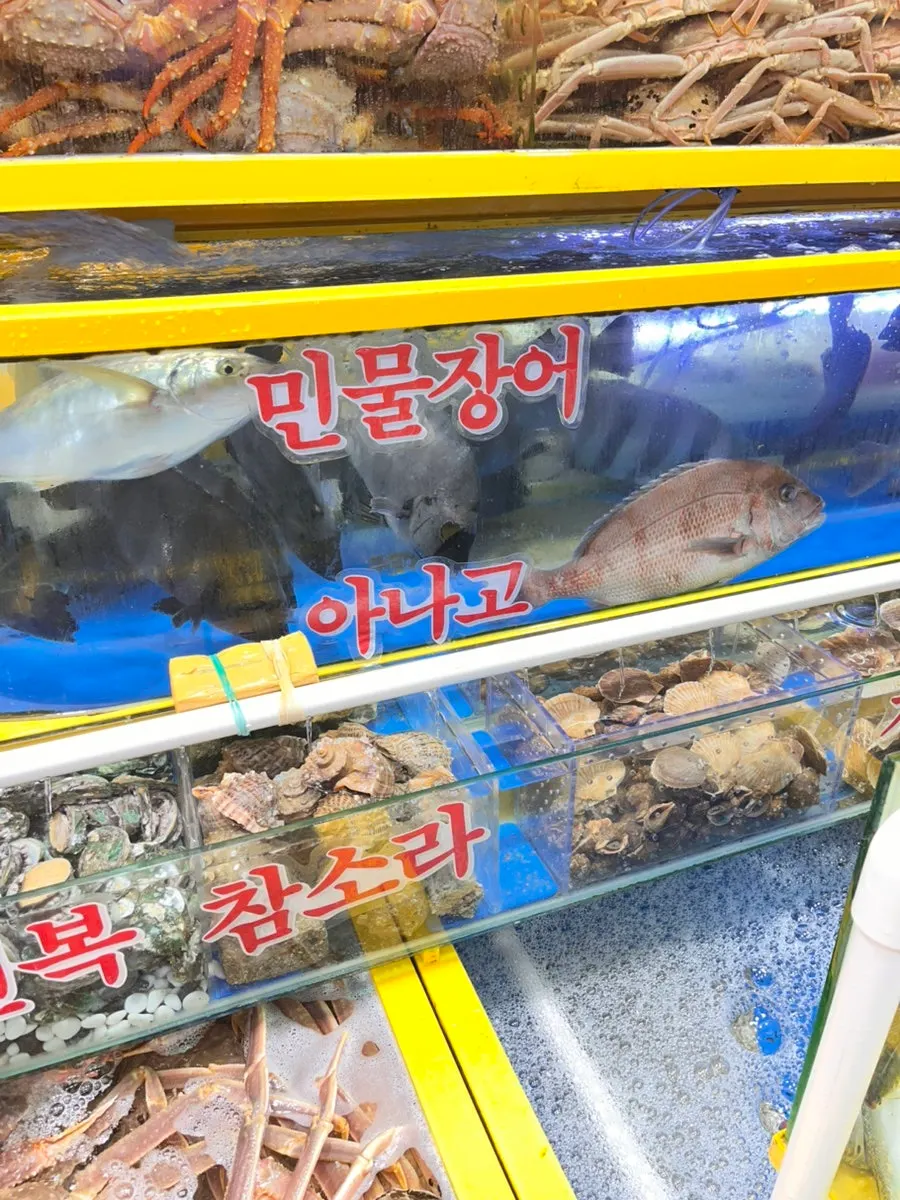 영재수산 매장 해산물과 횟감