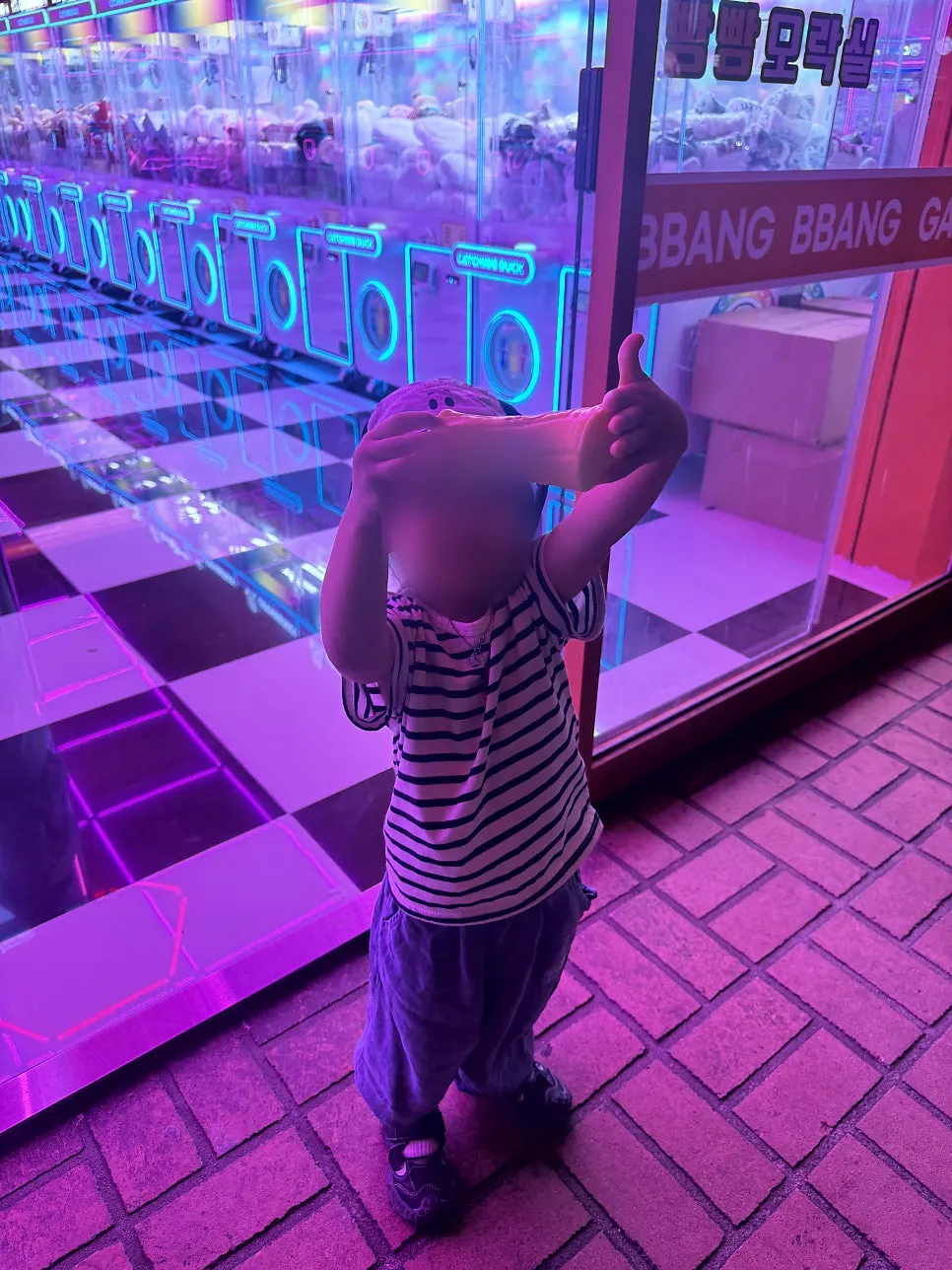 Claw machine at Western Dome