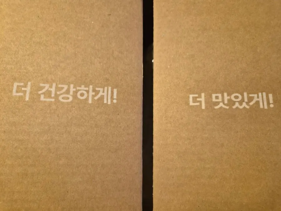 Baektae 99.3 soy milk package horizontal shot