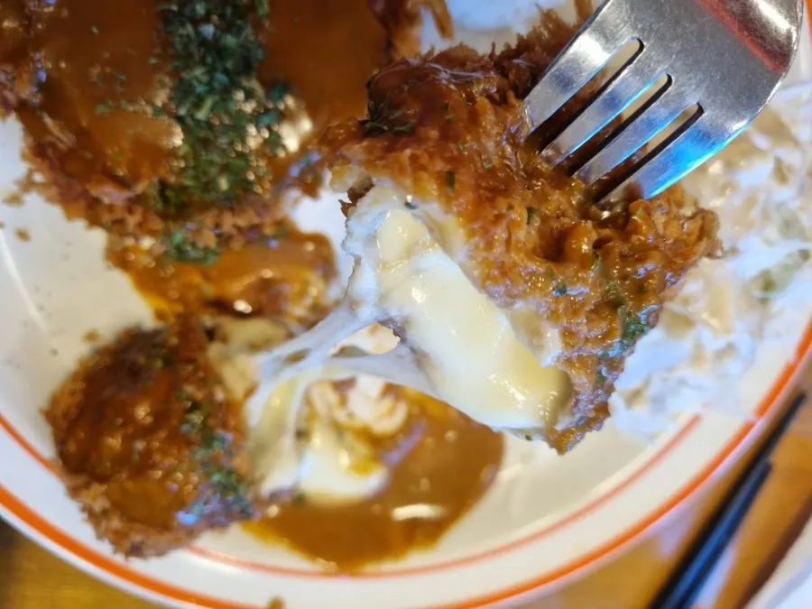 Crispy fried piece of half-and-half tonkatsu