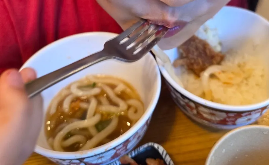 Table set with tonkatsu and udon together