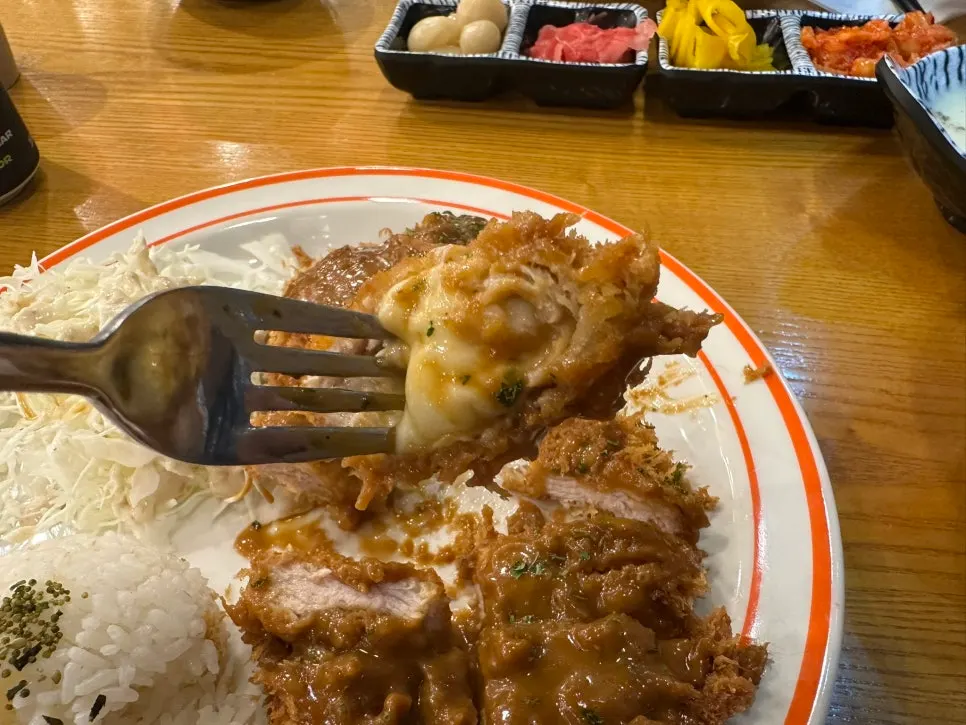 Large half-and-half tonkatsu topped generously with sauce