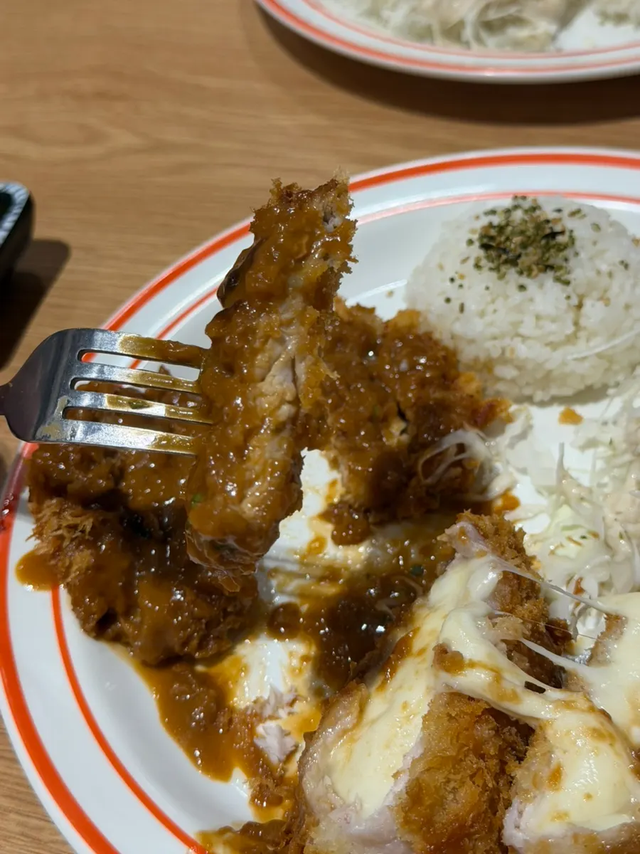 소스가 넉넉히 뿌려진 돈가스