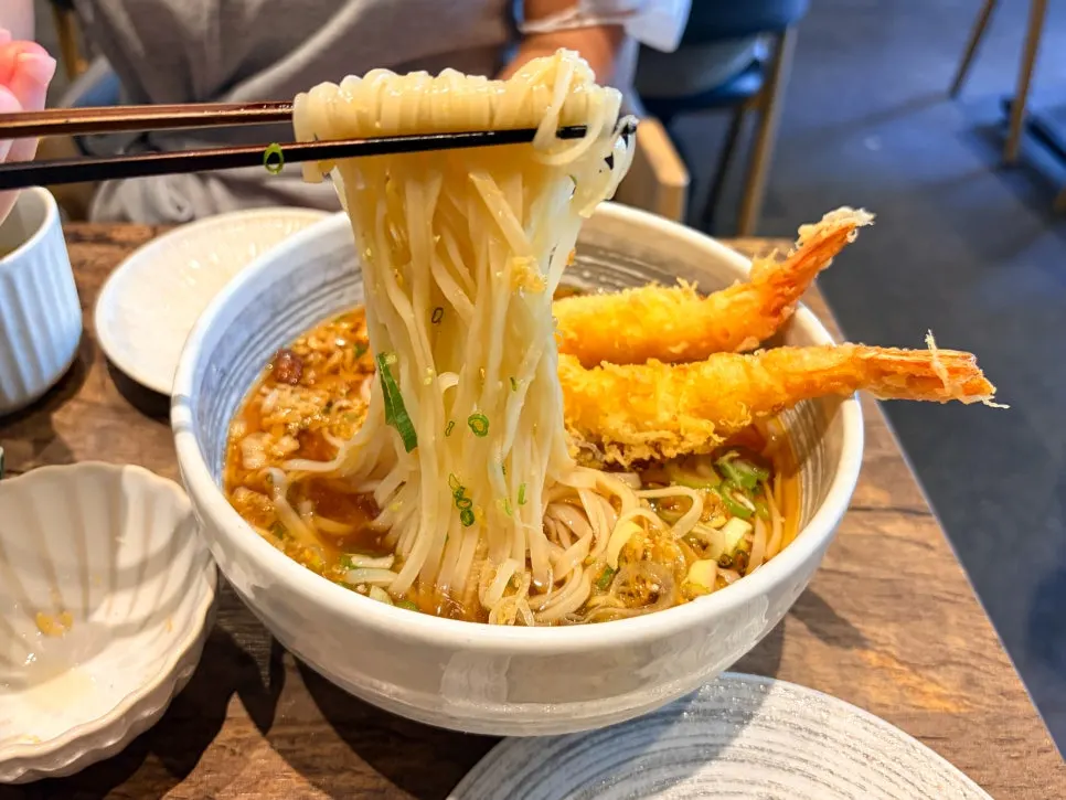 Inaniwa udon noodles with dipping tsuyu broth
