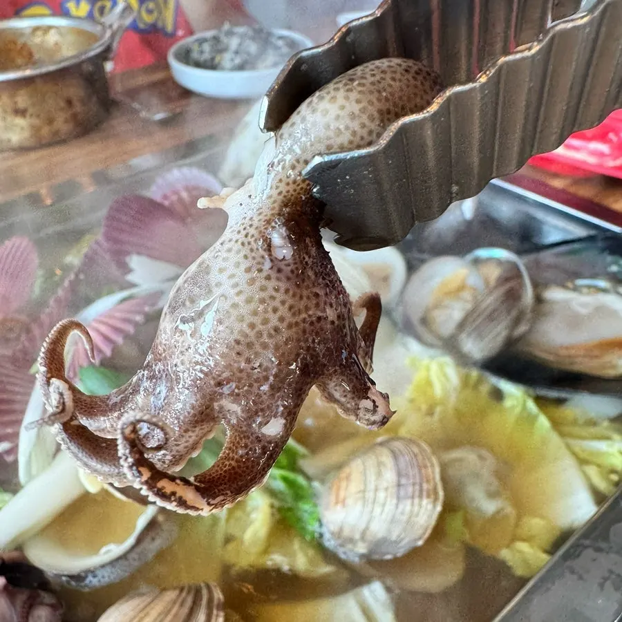 Guk-mul jogae-jjim simmering with seafood