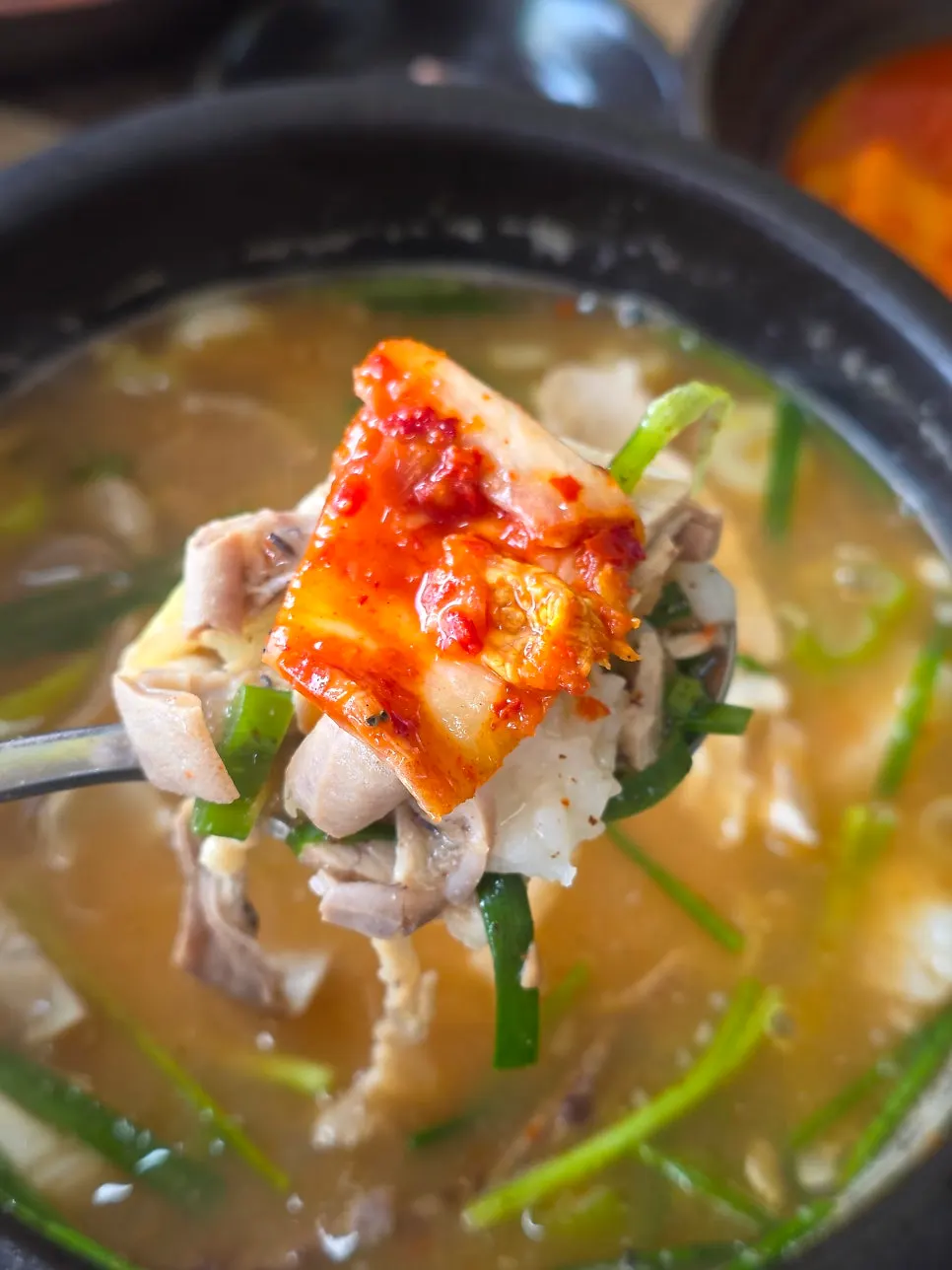 Pork, sundae and intestines in the mixed gukbap