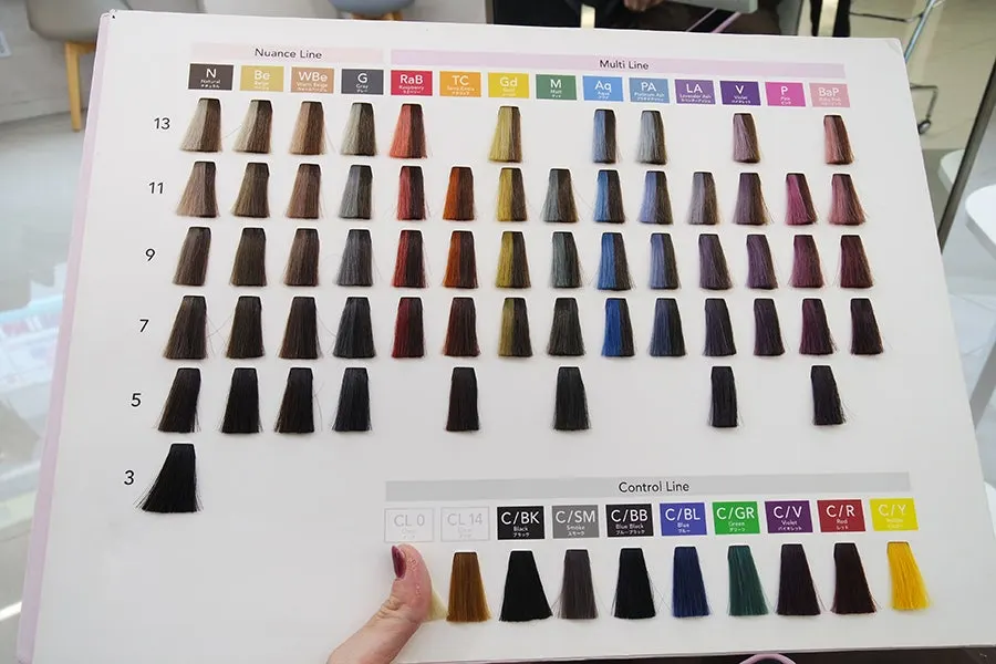 Color chart used during the dye consultation
