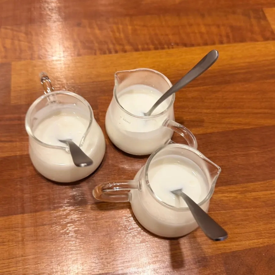 Handmade yogurt served before the meal at HOKATSU