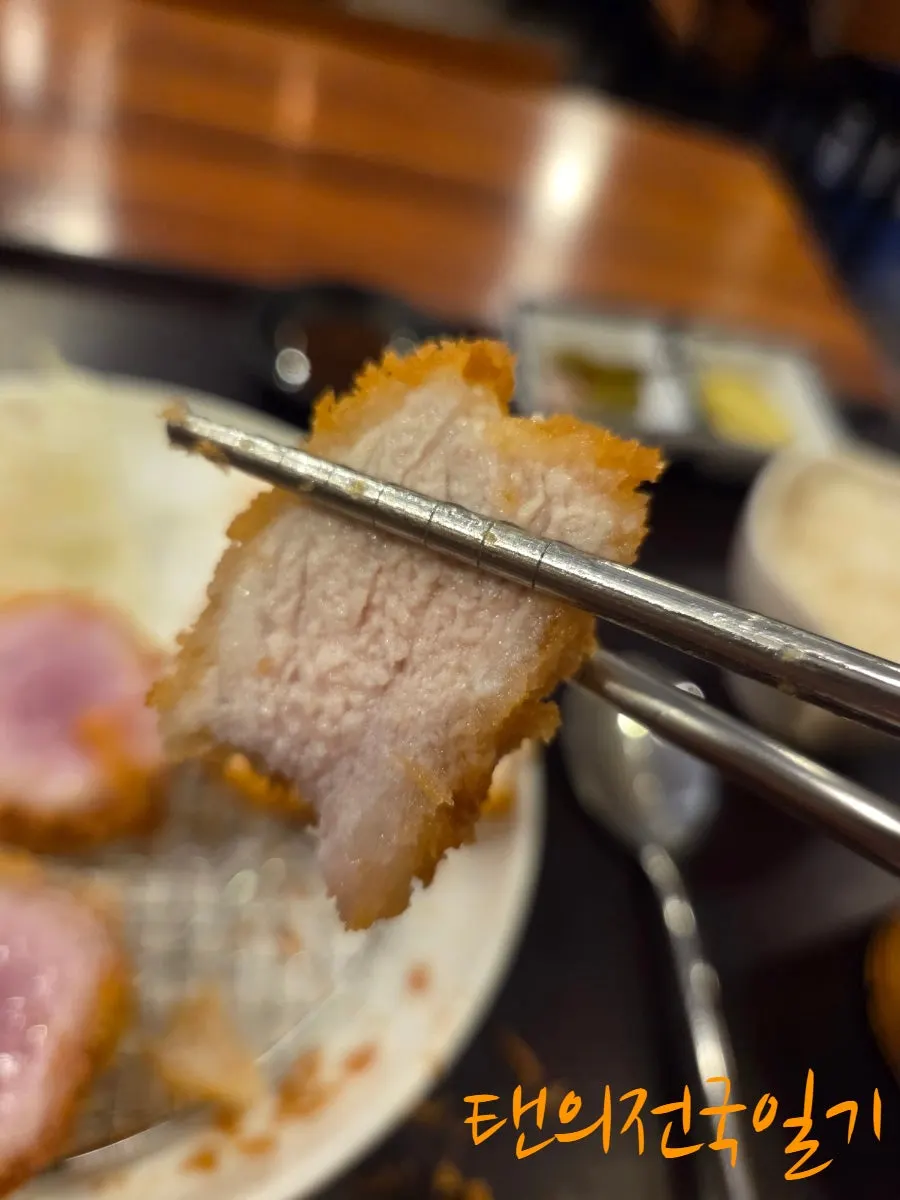 Tonkatsu with salt and wasabi