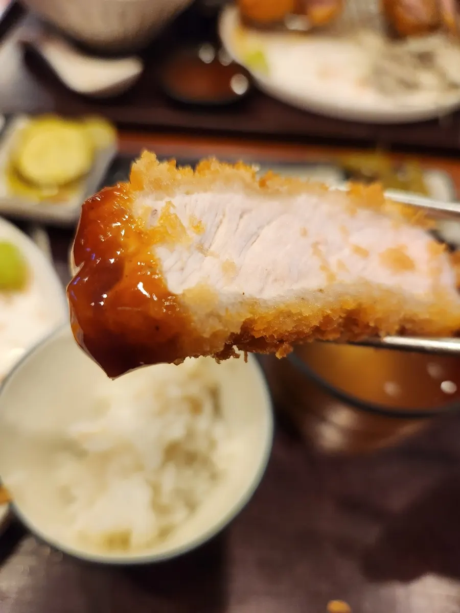돈까스 소스에 찍은 카츠 한 조각