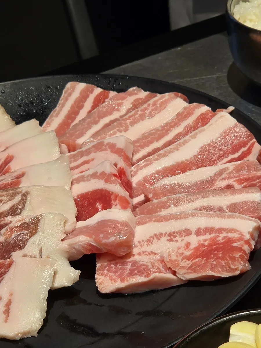 Raw hanton pork assortment served on a plate
