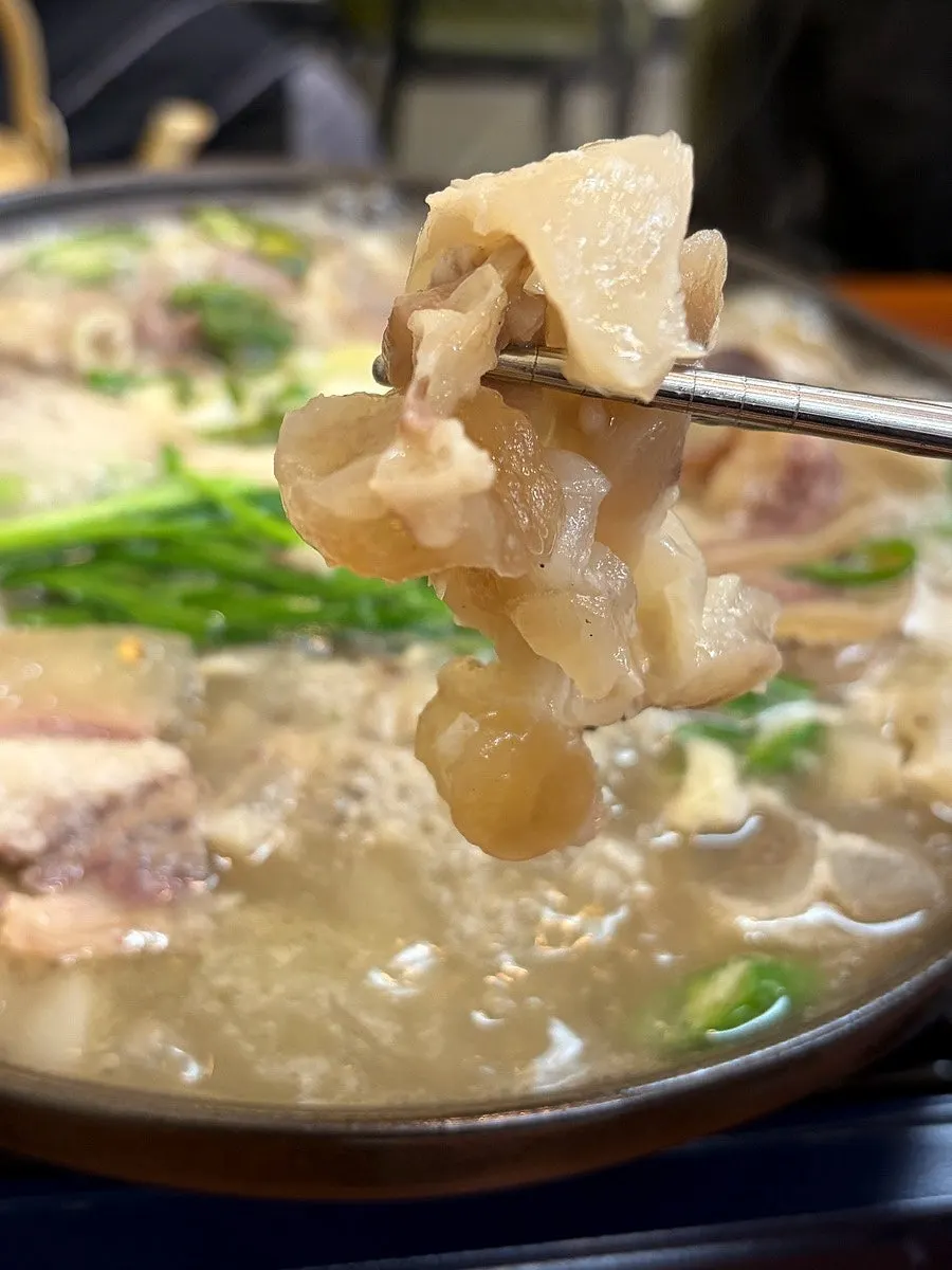 Large, well-trimmed pieces of beef tendon