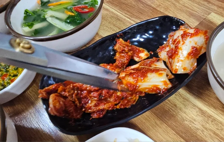 갓 담근 김치 반찬