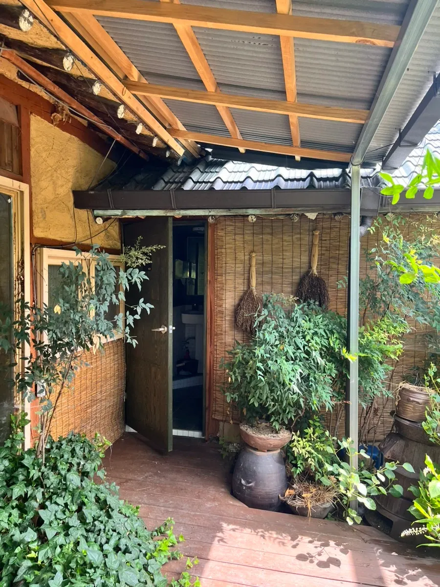 Green plants in the courtyard of Madang Itneun Jip