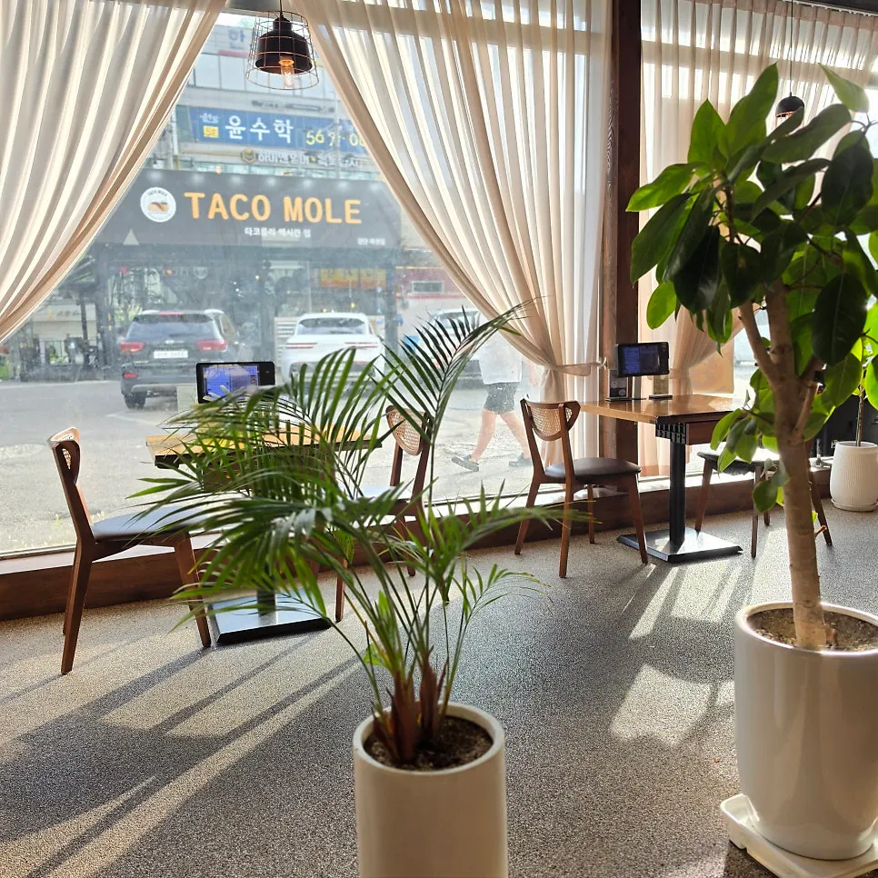 Bright seating area with floor-to-ceiling windows at Gyeomson Donkatsu