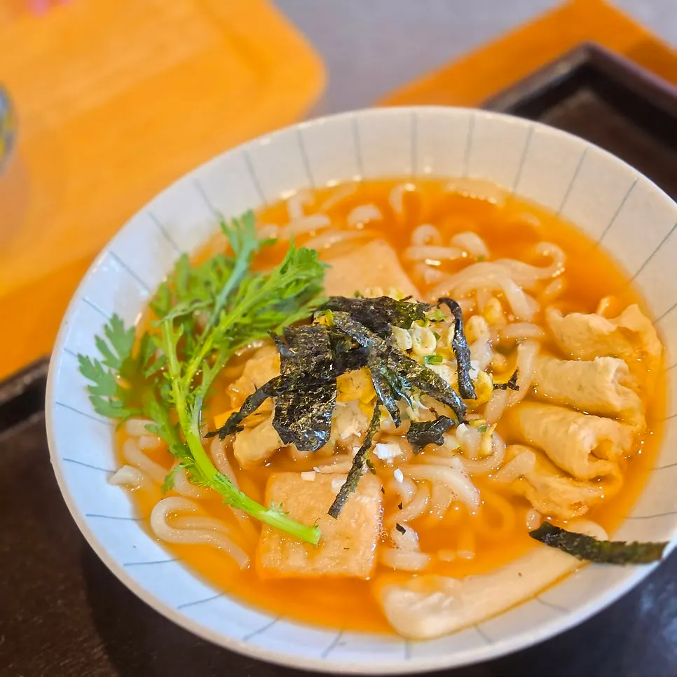 Fish cake udon with two pieces of fish cake