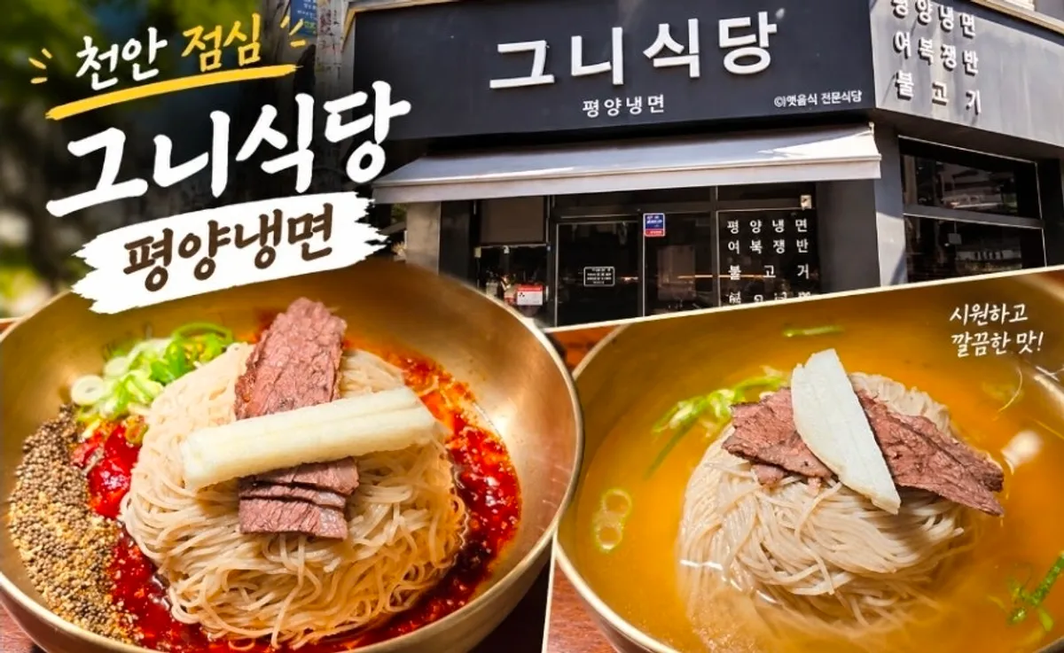 Table set with pyeongyang naengmyeon and mandu together