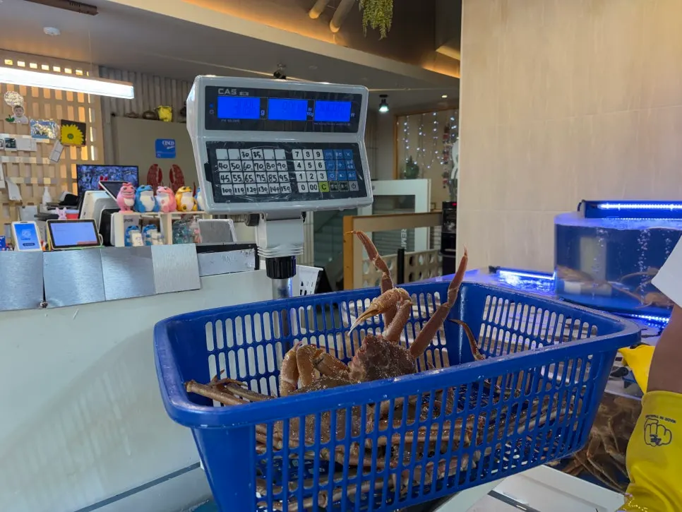 물 무게 포함 대게 계량 예시