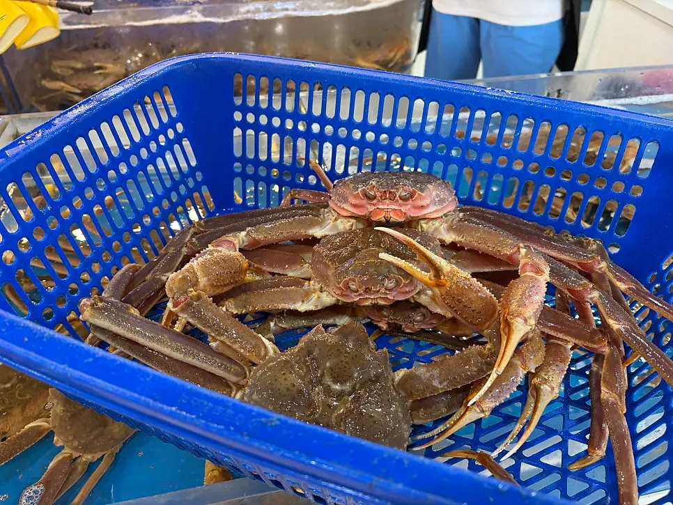 기장명품대게 대게 주문 장면