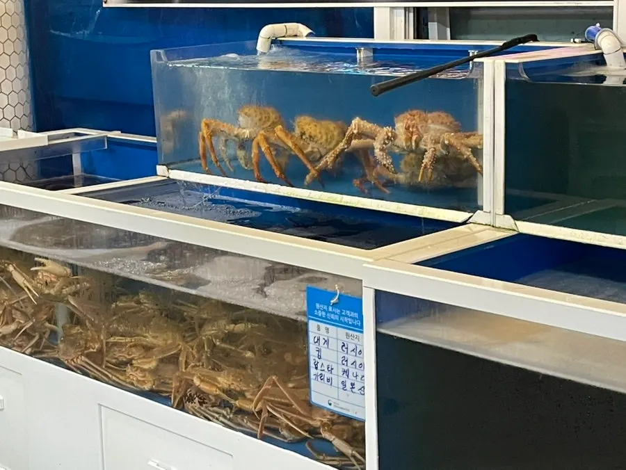 Tank with snow crabs and king crabs