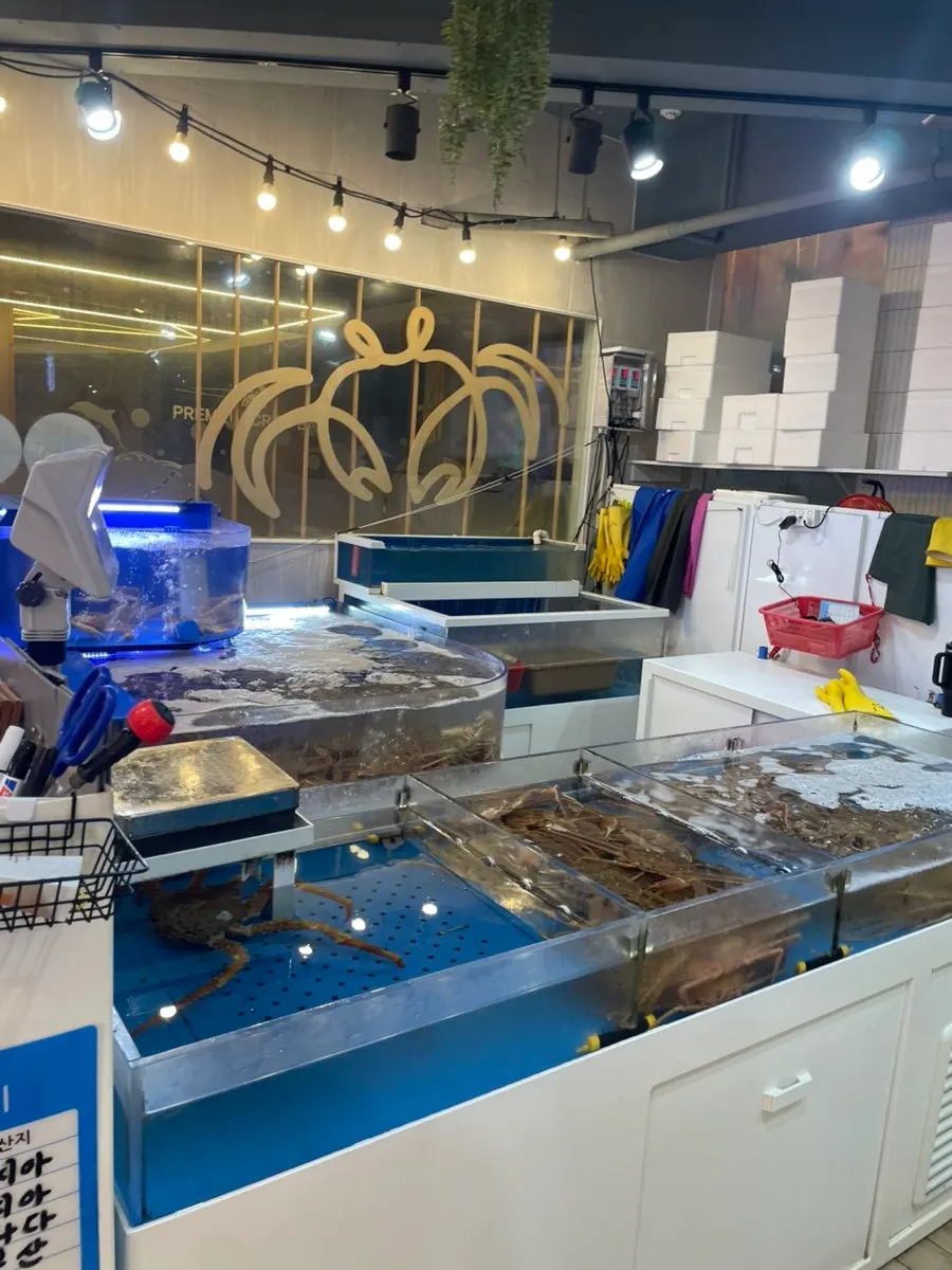 Snow crab and king crab tanks