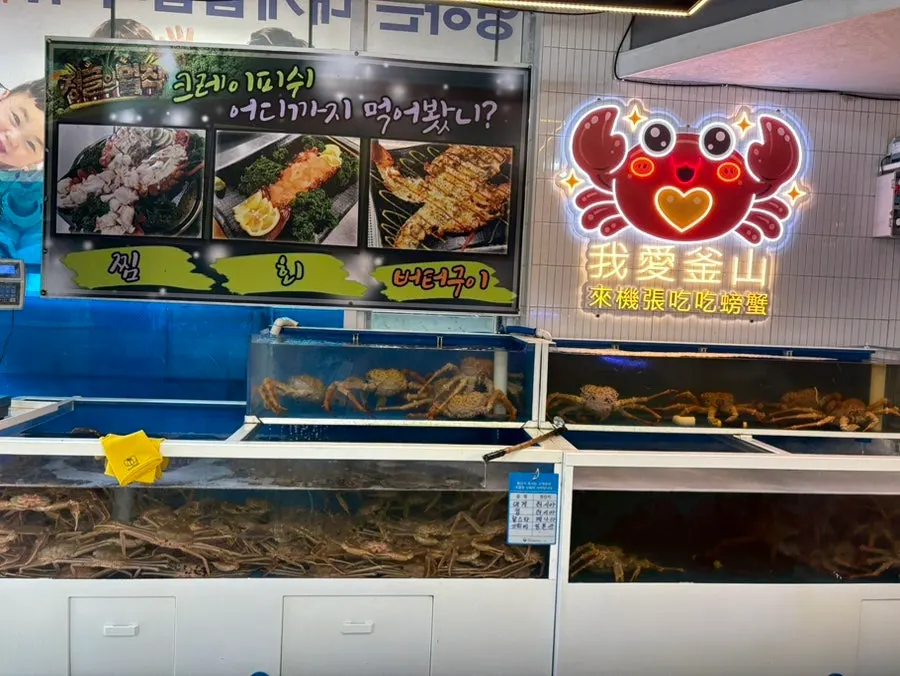 Snow crab and king crab in tanks