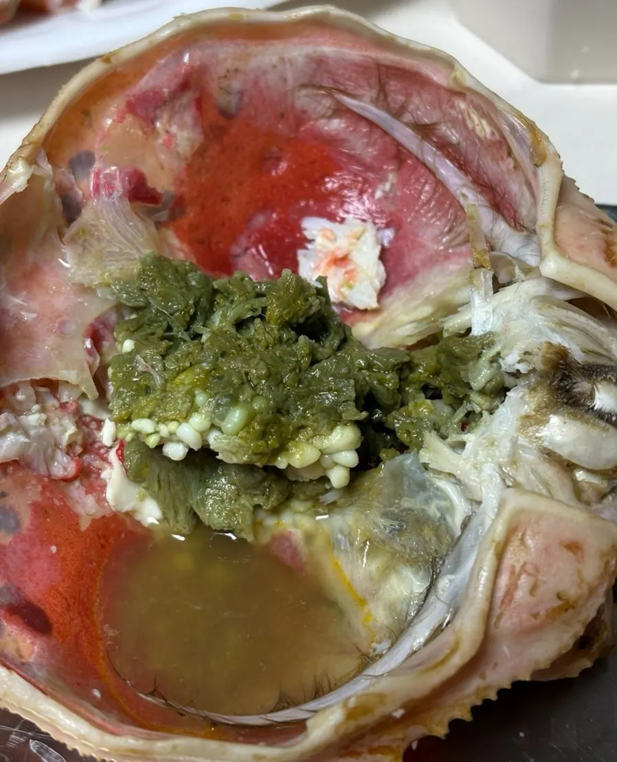 Snow crab legs packed with meat