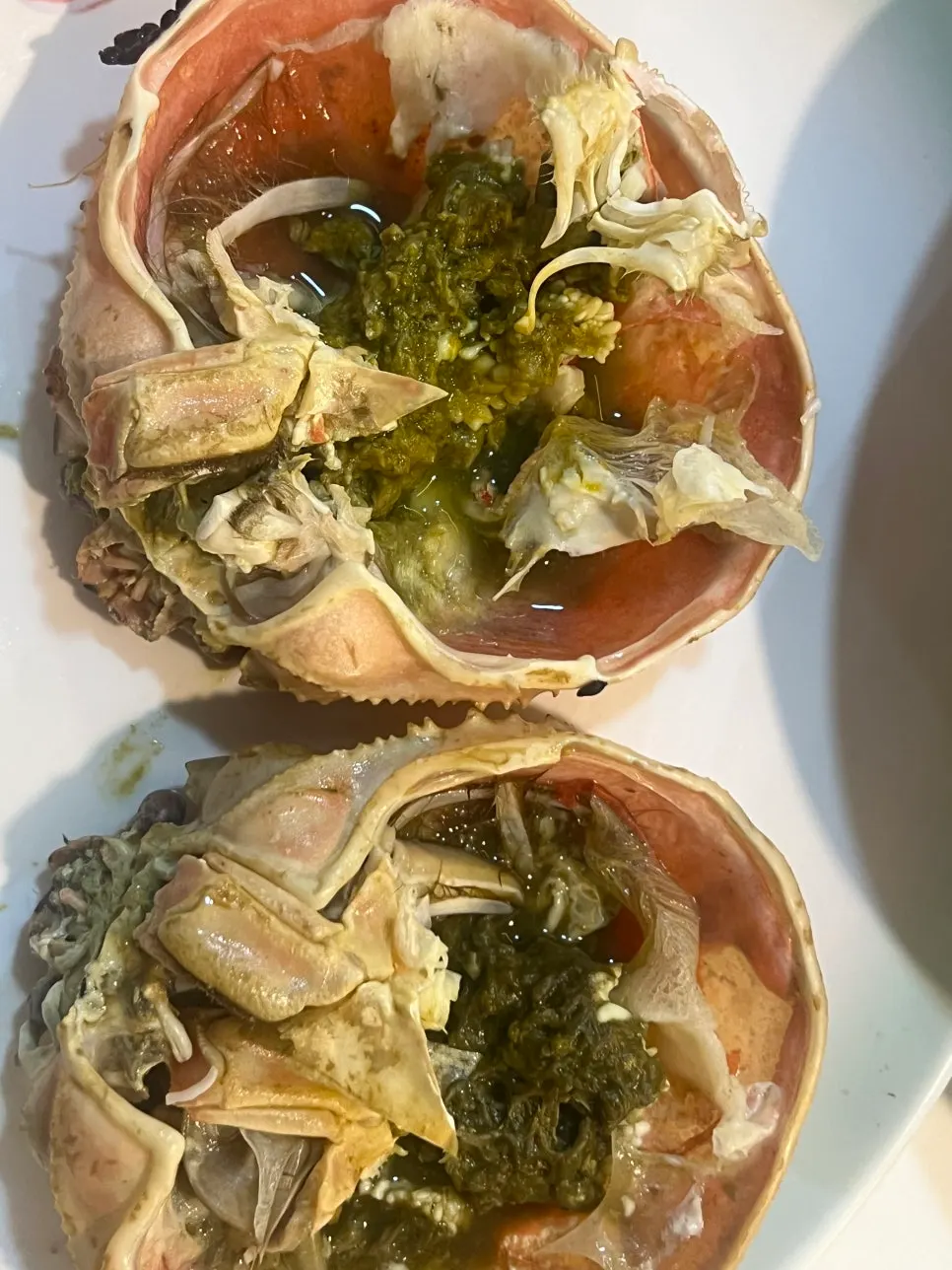Snow crab body solidly filled with meat