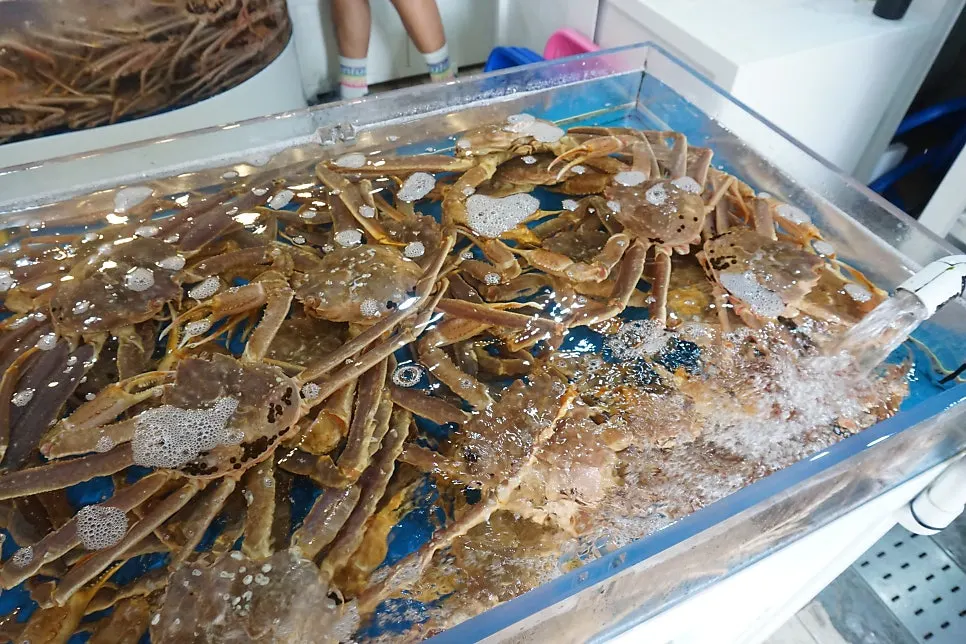 Snow crab and king crab in the tank