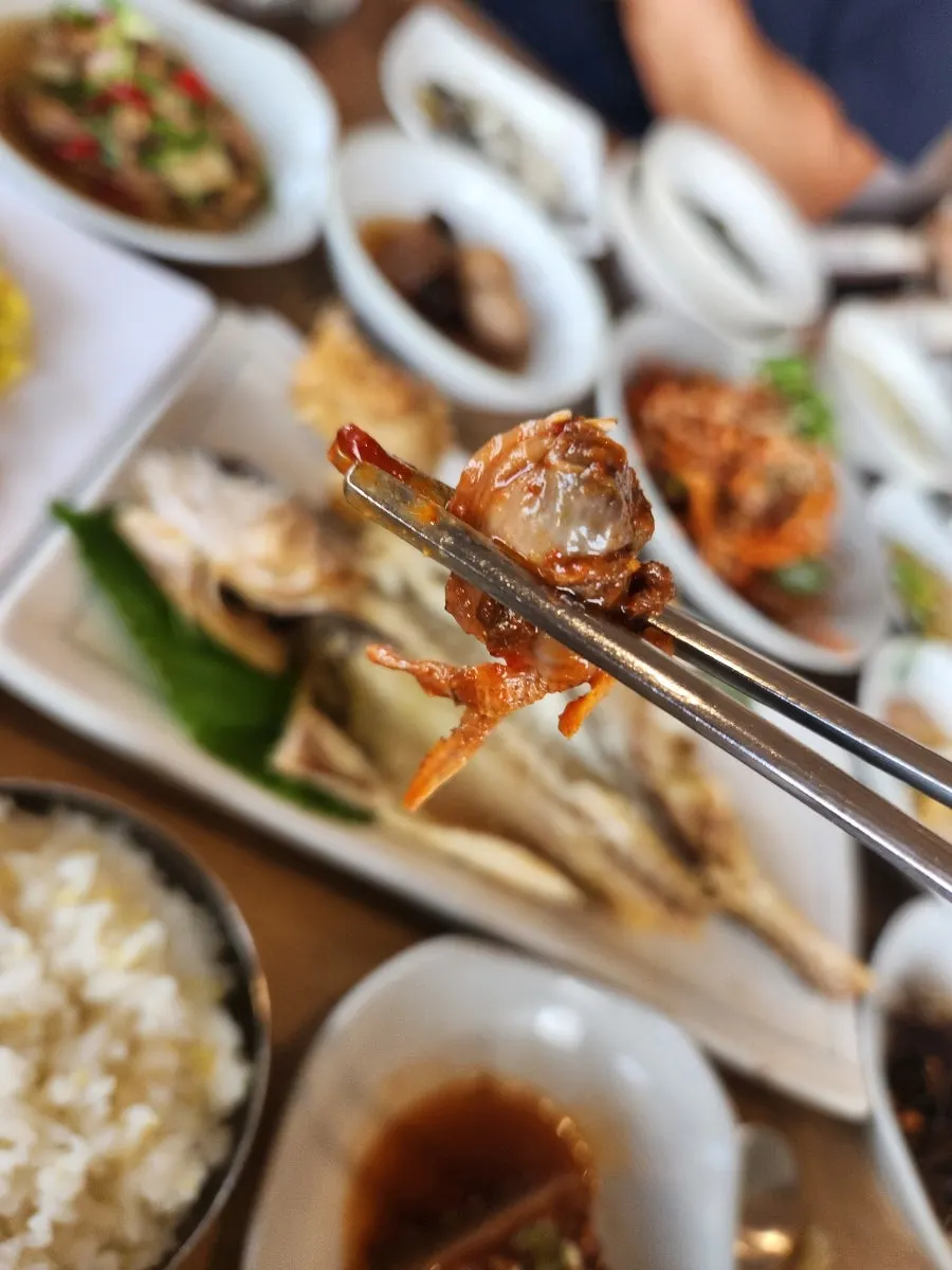 새콤매콤한 꼬막초무침 한 상