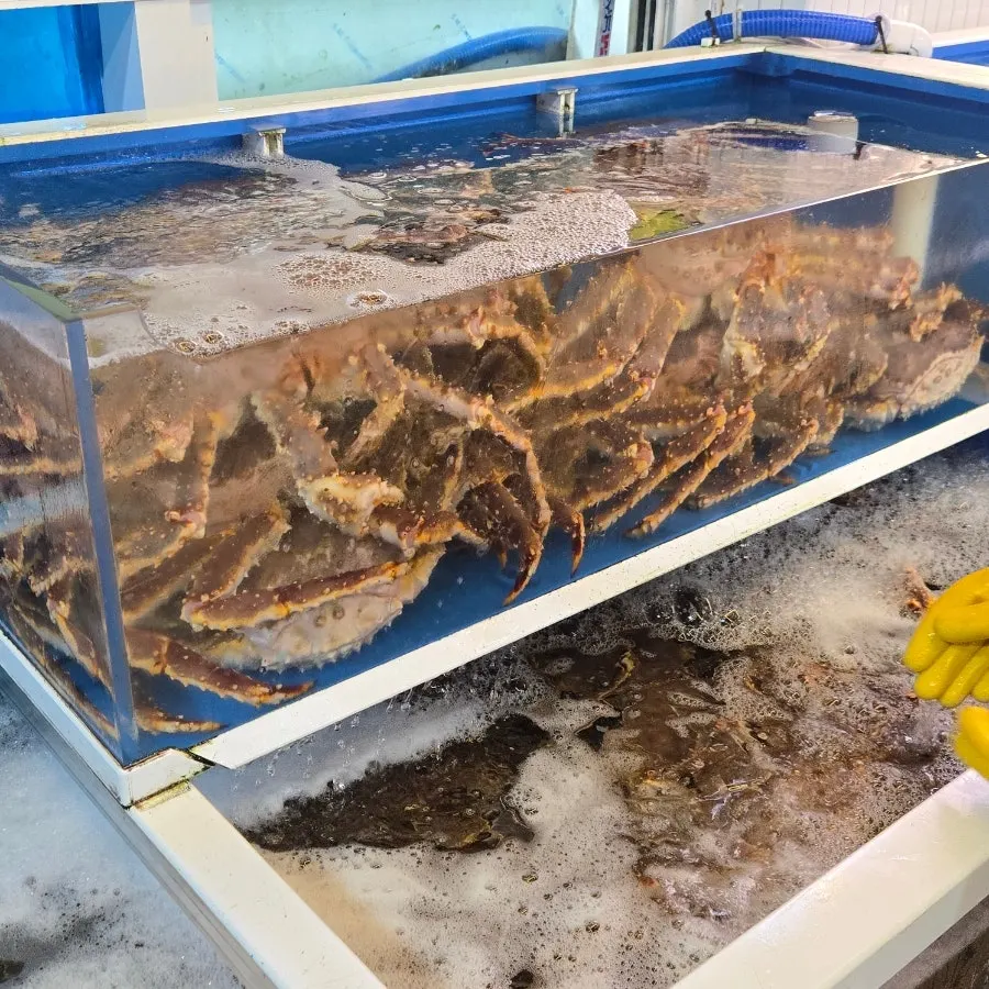 기장시장 공영주차장 이용 안내